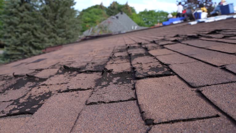 Professional Roofing Services in Hawthorn Woods, IL