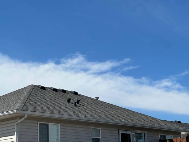 Best Asphalt Shingles Roofing  in Hawthorn Woods, IL